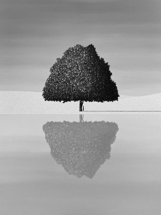 Son Juungkee Reflection