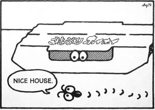 By ‘N Nice house